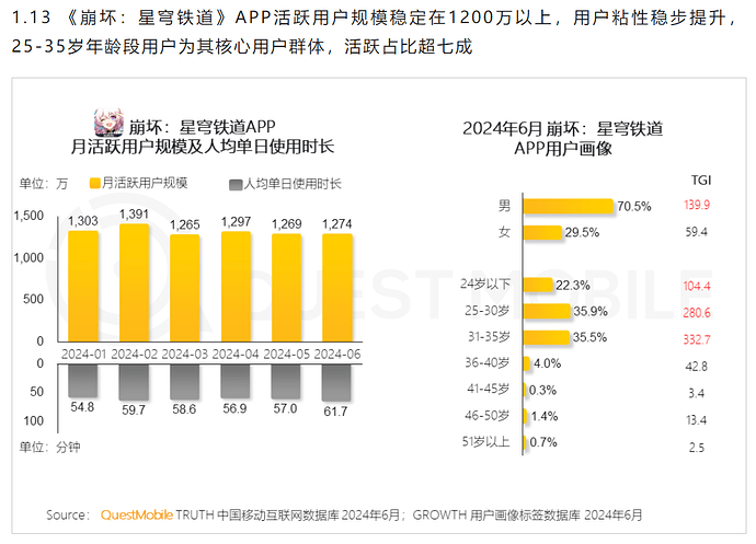 2025-01-14_数据_questmobile13