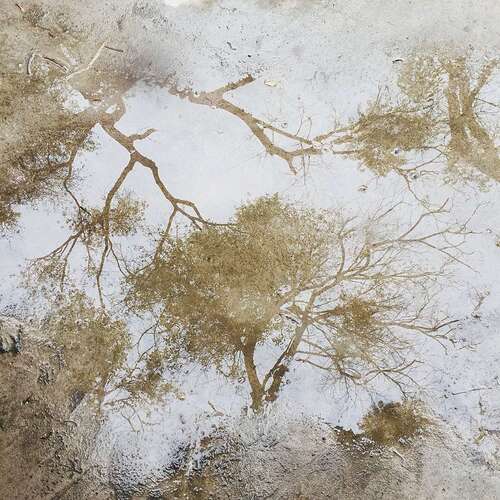 mmexport1517390562553