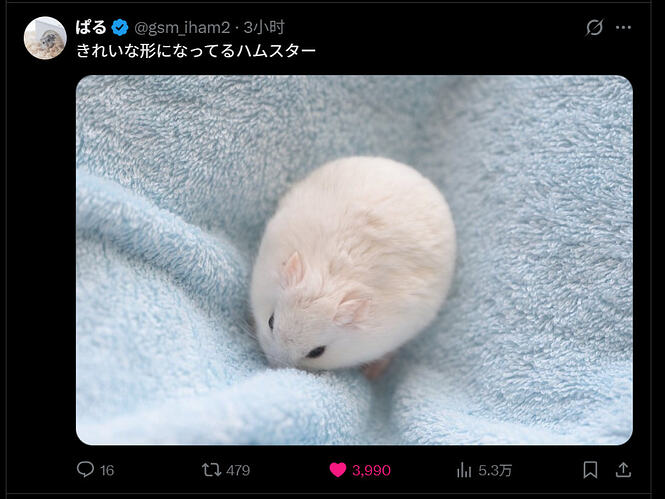 2bd554b908b65a3bd486003fb3803d6a