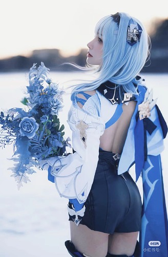 Camera_1040g3k031elv22vel0005nr0vv70bpo22m4uu1g