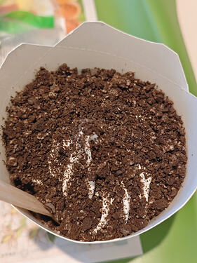 MVIMG_20251125_132331