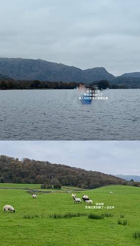 2499623e7b9352ded7ea0596e9f9b93e_720