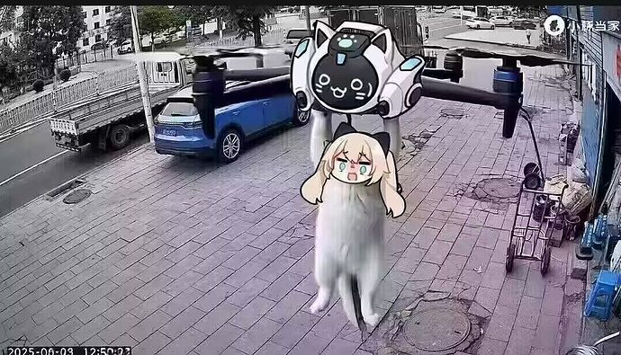 Image_1232174235510061