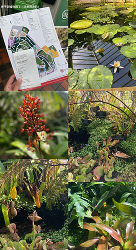 ED1486F2E1599AD6B9839C26DC4E625D