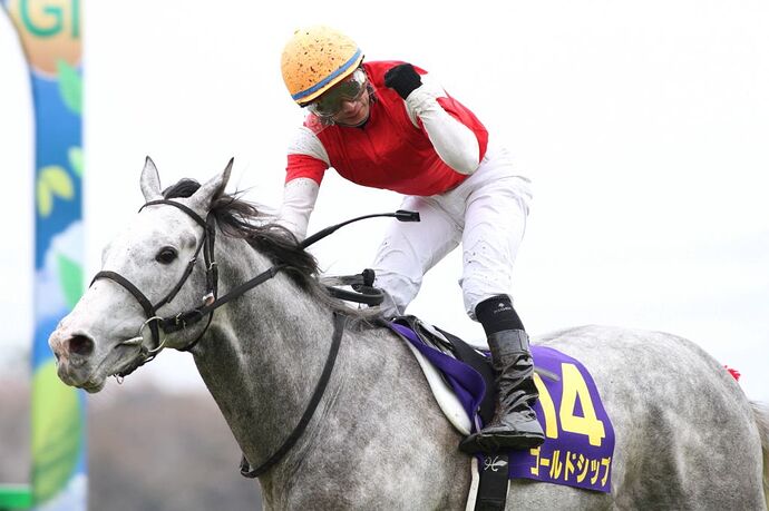 -o99ruQj1v-bncwK2cT3cSsg-iy