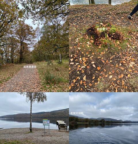 43f891b081ec7e5587a84709f51e3c58_720