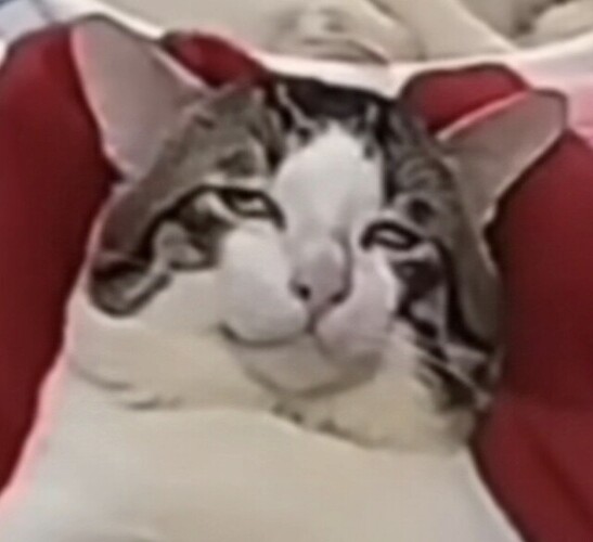 1000005188
