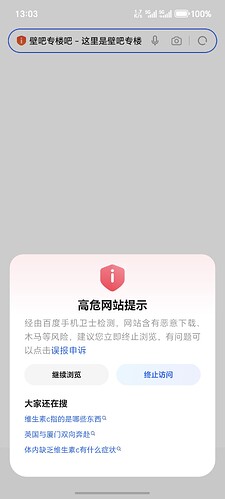 Screenshot_20250909_130315_com_hihonor_baidu_browser_BdDialog