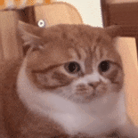 :120: