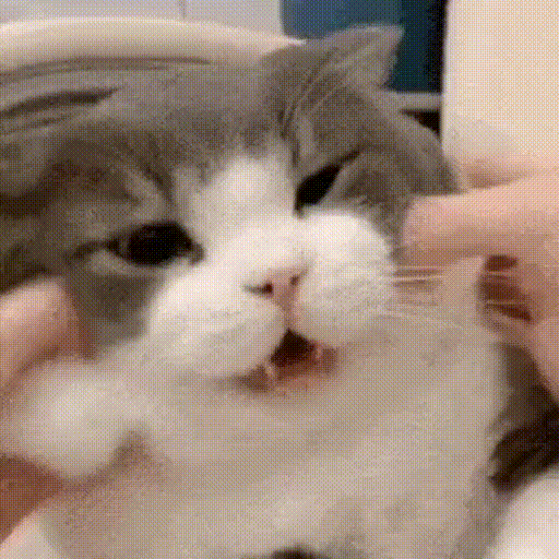 :67: