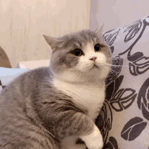 :33: