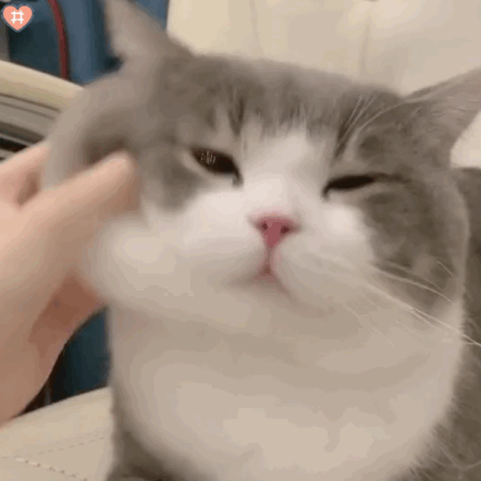 :82: :82:
