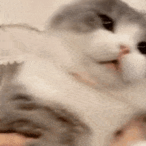 :68: