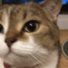 :36: