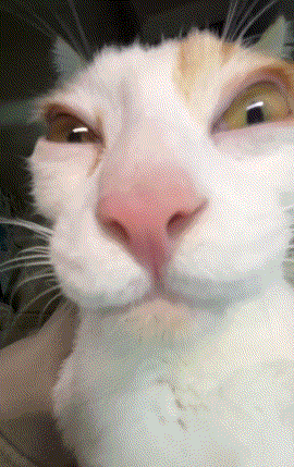 :158: